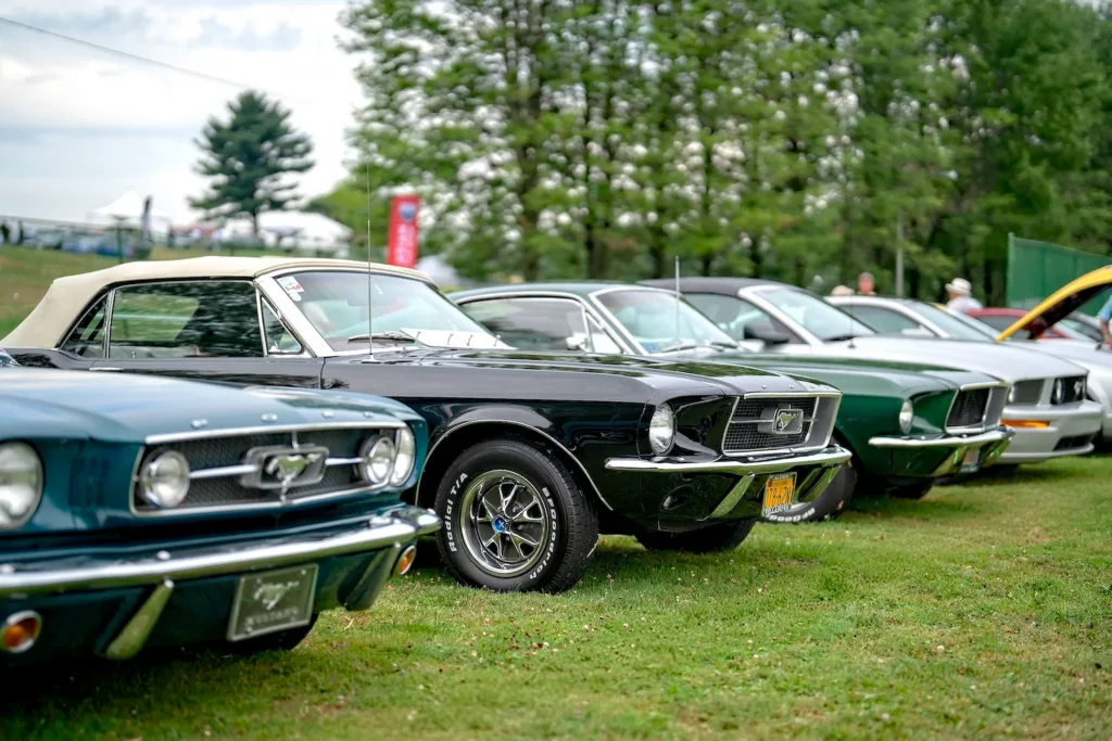 Classic Ford Mustangs